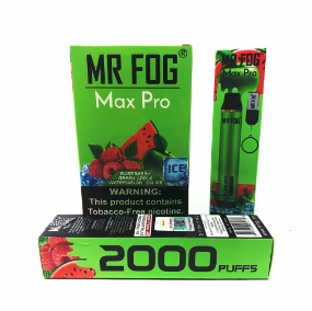 Mr Fog Max 2000