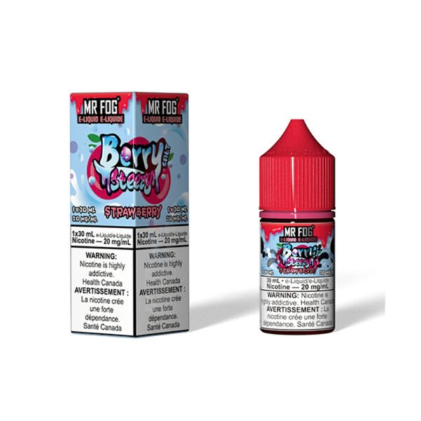 MR FOG BERRY STEEZY STRAWBERRY SALT E-LIQUID 30ML