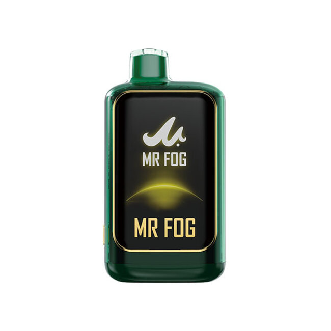 How to Clean and Maintain Your Mr Fog for Optimal Performance 1 image 13