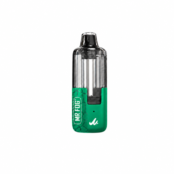 Spearmint Mr Fog Switch Pod 45K Puffs Mint Steezy